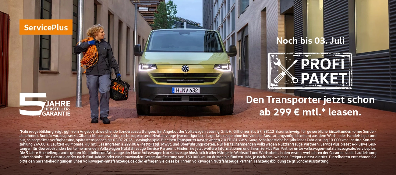 Online VW Transporter Profi Paket